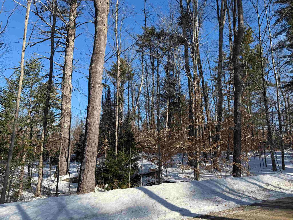 00 Hobbs Road, Effingham, NH 03882