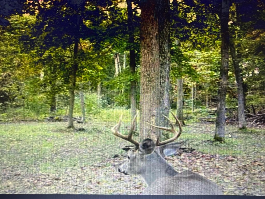 Image 15 of property listing at 9576 State Route 161 Extension, Iuka, IL 62849