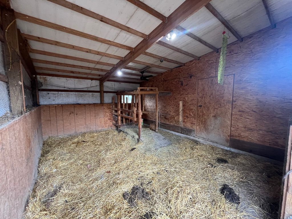 Image 19 of property listing at 9576 State Route 161 Extension, Iuka, IL 62849