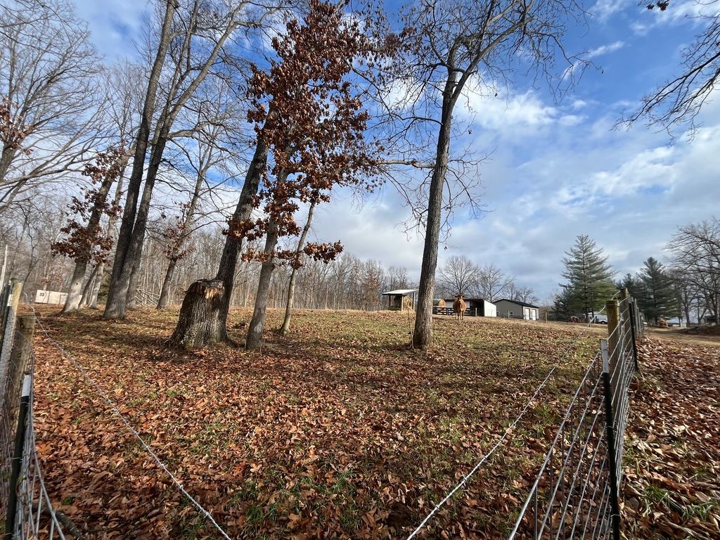 Image 20 of property listing at 9576 State Route 161 Extension, Iuka, IL 62849