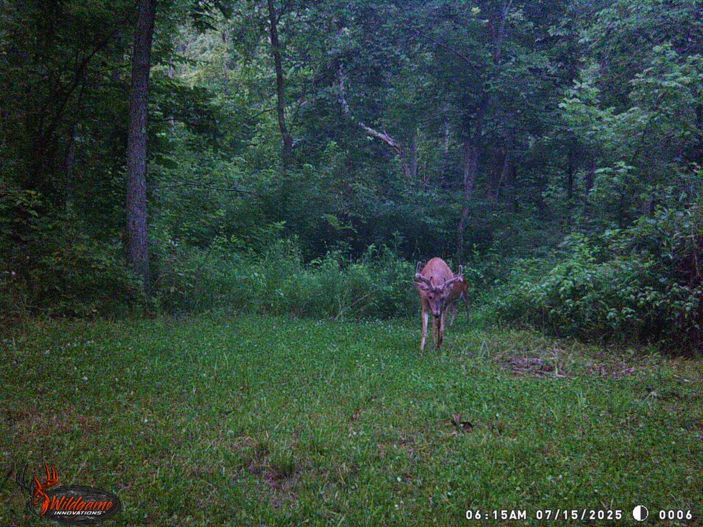 Image 21 of property listing at 9576 State Route 161 Extension, Iuka, IL 62849