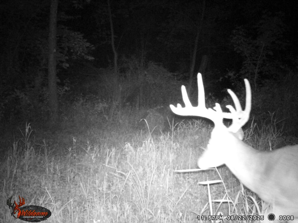 Image 22 of property listing at 9576 State Route 161 Extension, Iuka, IL 62849