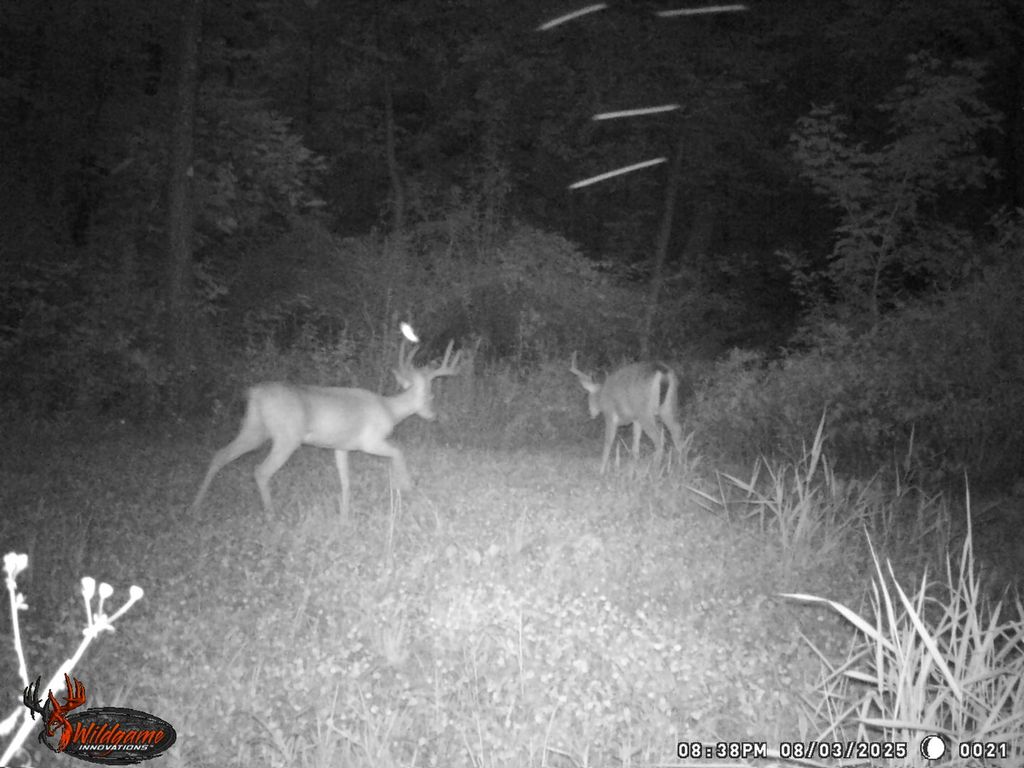 Image 23 of property listing at 9576 State Route 161 Extension, Iuka, IL 62849