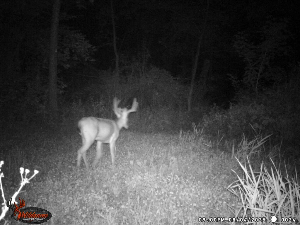 Image 24 of property listing at 9576 State Route 161 Extension, Iuka, IL 62849