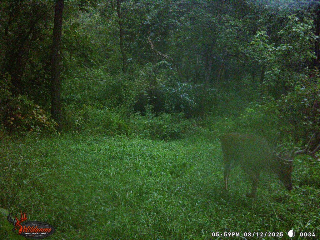 Image 25 of property listing at 9576 State Route 161 Extension, Iuka, IL 62849