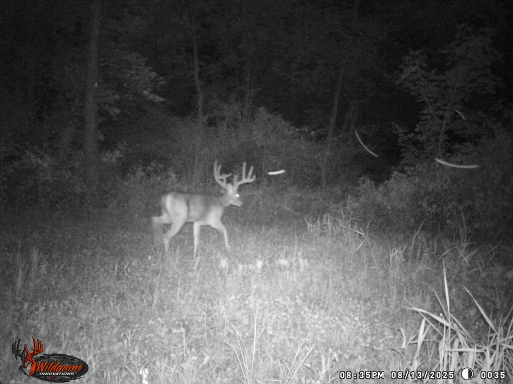 Image 26 of property listing at 9576 State Route 161 Extension, Iuka, IL 62849