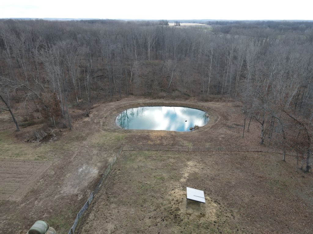 Image 28 of property listing at 9576 State Route 161 Extension, Iuka, IL 62849