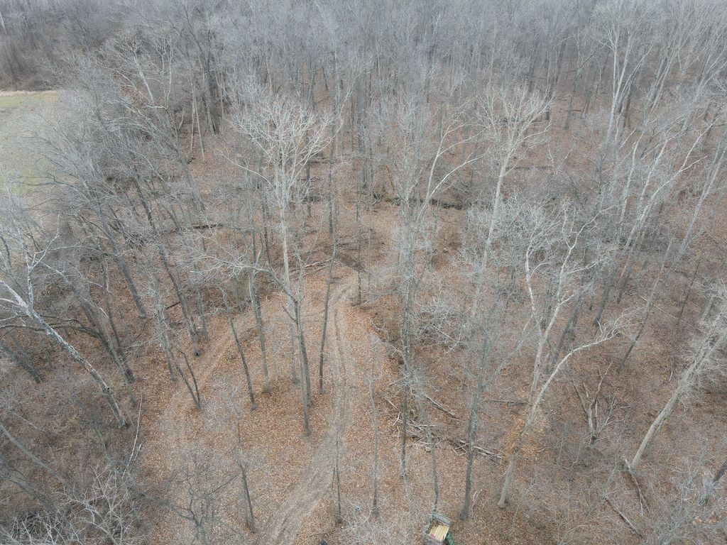 Image 29 of property listing at 9576 State Route 161 Extension, Iuka, IL 62849