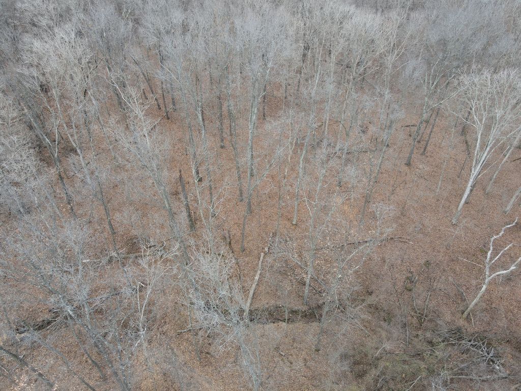 Image 31 of property listing at 9576 State Route 161 Extension, Iuka, IL 62849