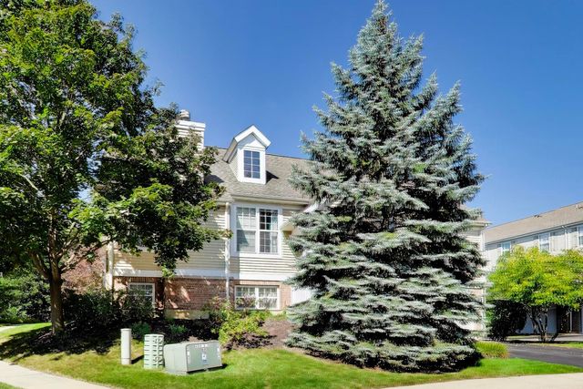 612 N Hidden Prairie Court, Palatine, IL 60067