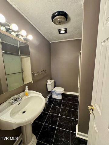 817 Midnight Drive, Chilhowie, VA 24319