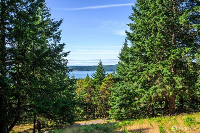 177 Harmon Ranch Hill Road, Decatur Island, WA 98221