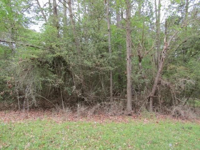Lot 27 Elk Street, Onalaska, TX 77360