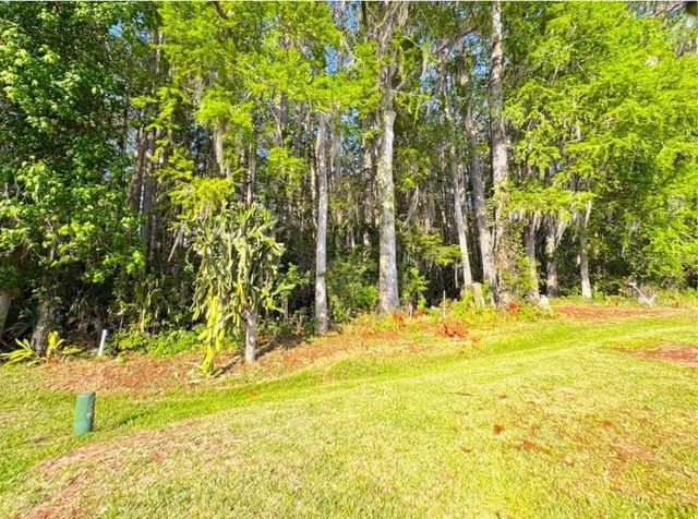 710 OAK BOULEVARD, Wildwood, FL 34785