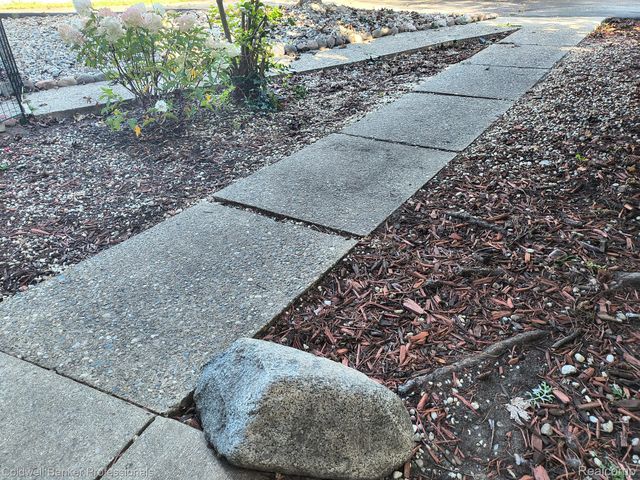 344 N Mill Street, Plymouth, MI 48170