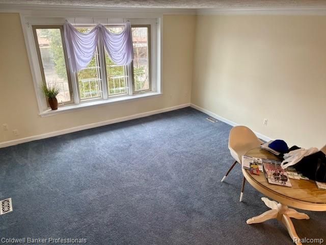 344 N Mill Street, Plymouth, MI 48170