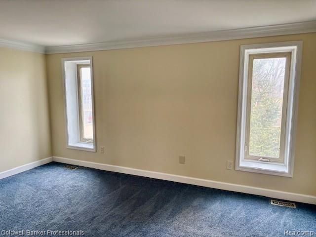 344 N Mill Street, Plymouth, MI 48170