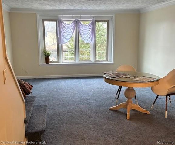 344 N Mill Street, Plymouth, MI 48170