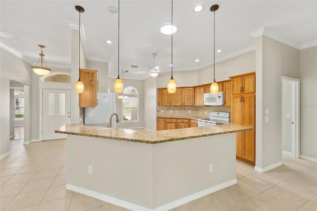 278 MATISSE AVENUE, The Villages, FL 32162
