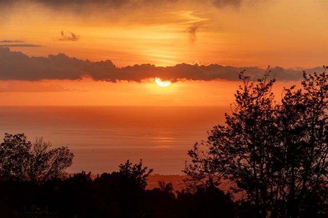 0 Holopuni Rd, Kula, HI 96790