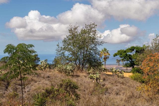 0 Holopuni Rd, Kula, HI 96790