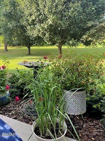 510 Gaye Drive, Jefferson City, TN 37760