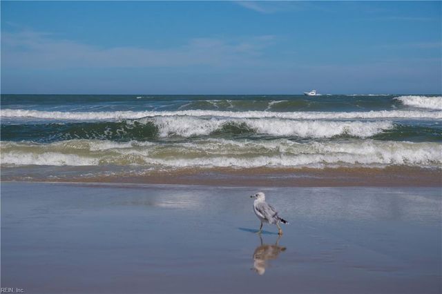 1245 Laskin Rd Apt 9, Virginia Beach, VA 23451