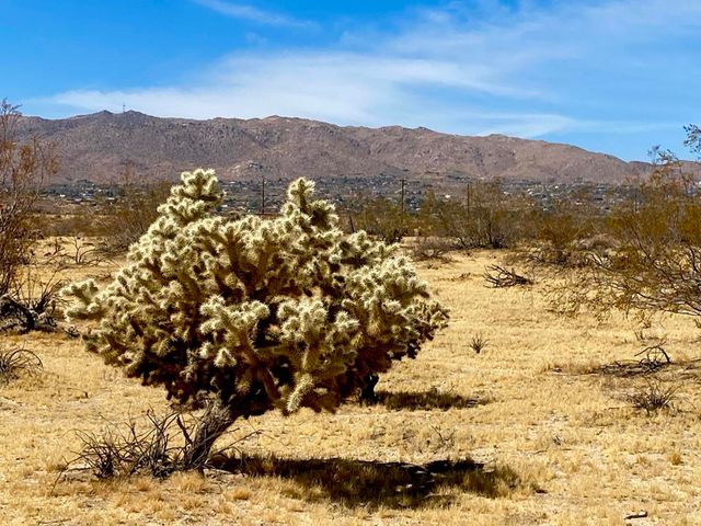62585 Two Mile Road, Joshua Tree, CA 92252