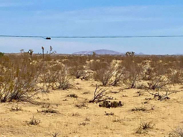 62585 Two Mile Road, Joshua Tree, CA 92252