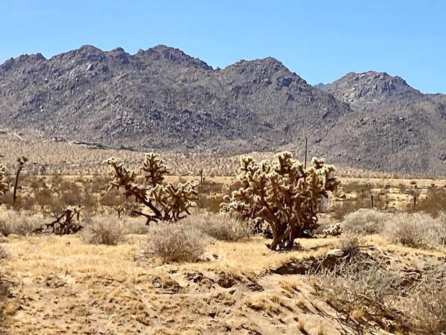 62585 Two Mile Road, Joshua Tree, CA 92252