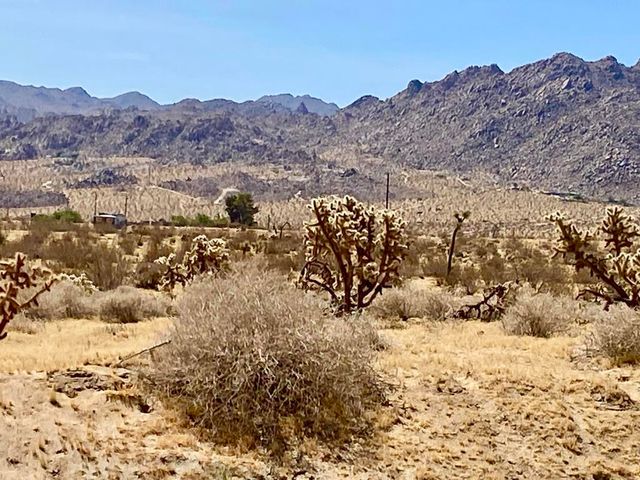 62585 Two Mile Road, Joshua Tree, CA 92252