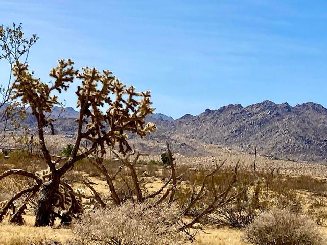62585 Two Mile Road, Joshua Tree, CA 92252
