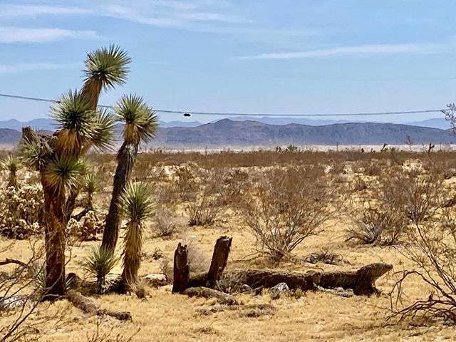 62585 Two Mile Road, Joshua Tree, CA 92252