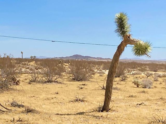 62585 Two Mile Road, Joshua Tree, CA 92252
