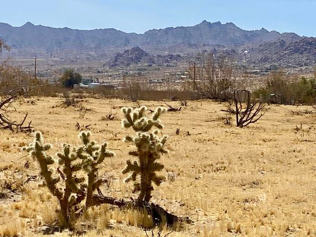 62585 Two Mile Road, Joshua Tree, CA 92252