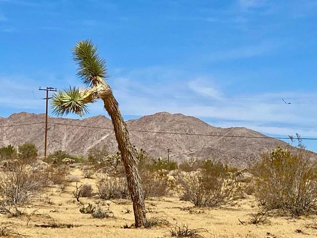 62585 Two Mile Road, Joshua Tree, CA 92252