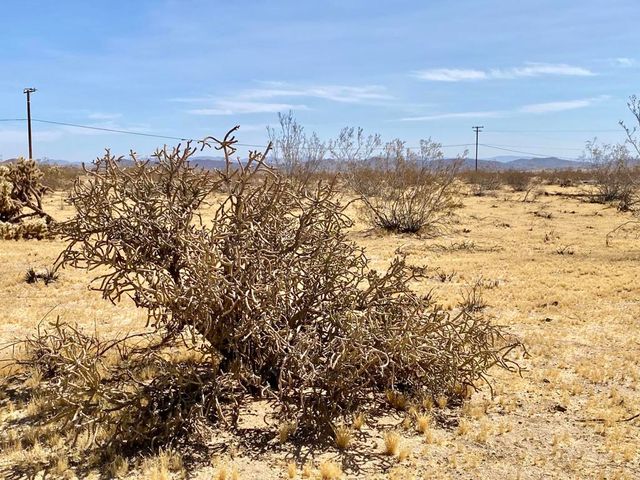 62585 Two Mile Road, Joshua Tree, CA 92252