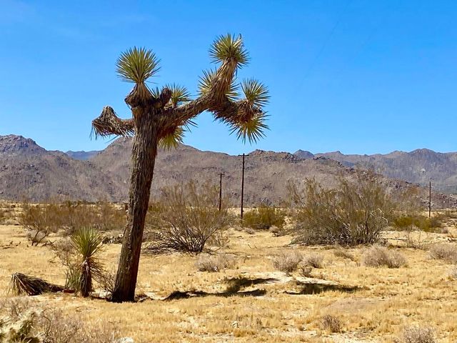 62585 Two Mile Road, Joshua Tree, CA 92252