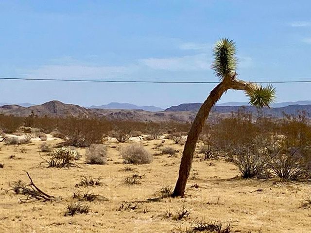 62585 Two Mile Road, Joshua Tree, CA 92252