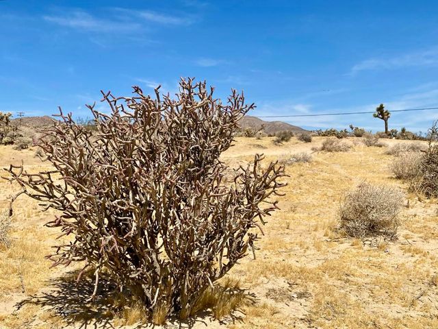 62585 Two Mile Road, Joshua Tree, CA 92252