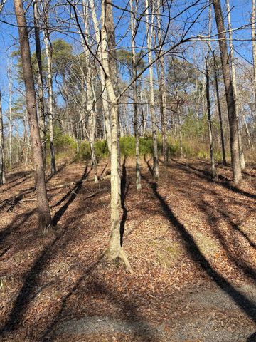 0 Fire Tower Road, Cleveland, TN 37323