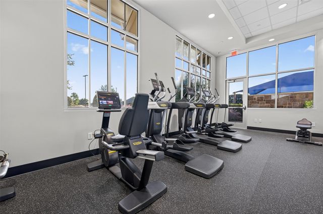 28939 Shady Grove Lane, Fulshear, TX 77441