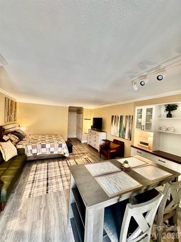 160 Whitney Boulevard 35, Lake Lure, NC 28746