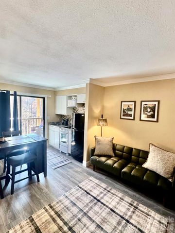 160 Whitney Boulevard 35, Lake Lure, NC 28746