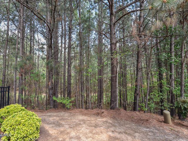 155 Cypress Hill Lane, Holly Springs, NC 27540