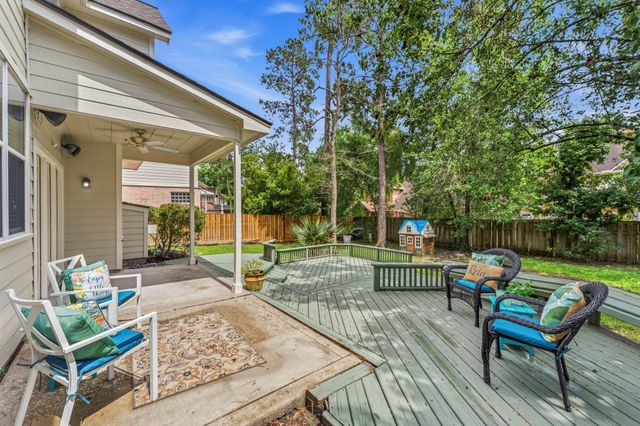 19 Fortuneberry Place, The Woodlands, TX 77382