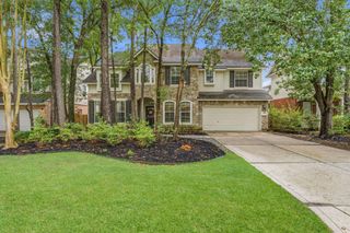 19 Fortuneberry Place, The Woodlands, TX 77382