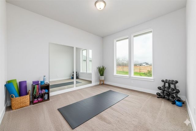 29535 Fulshear Lake Trace, Fulshear, TX 77406