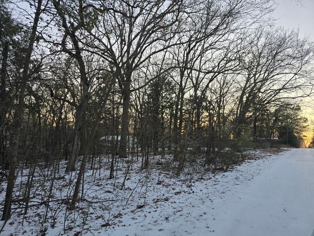 Lot 752 Doe Run Road, Gun Barrel City, TX 75156