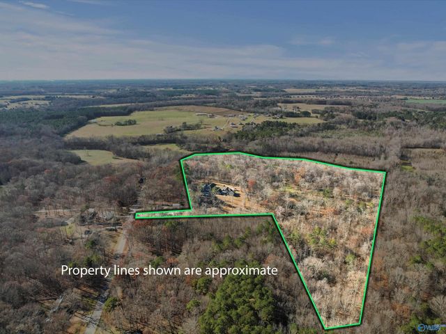 343 Mccutcheon Lane, Toney, AL 35773